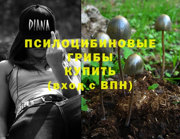 ешки Наволоки