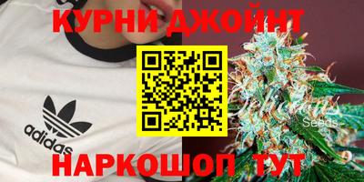 гидра Гагарин