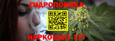 гашиш Гатчина