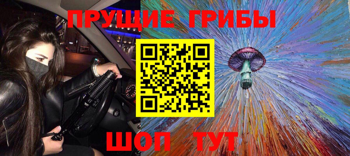 Галлюциногенные грибы Psilocybe Шахты